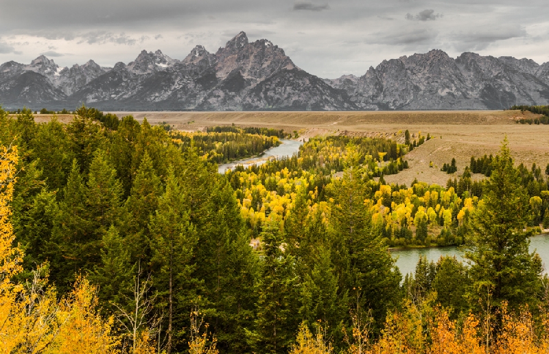 Snake River - Grand Tetons_YST0430.jpg